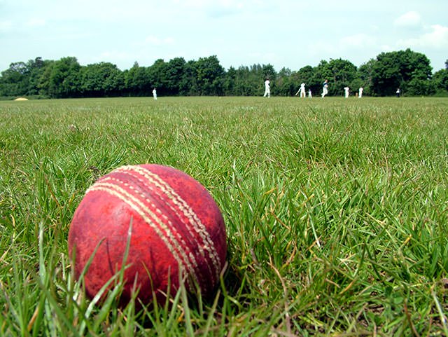 cricketball_opt_mini