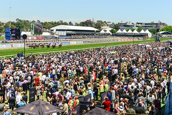 Melbourne Cup Tips - Crown 