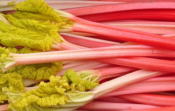 Pink Foods - Rhubarb