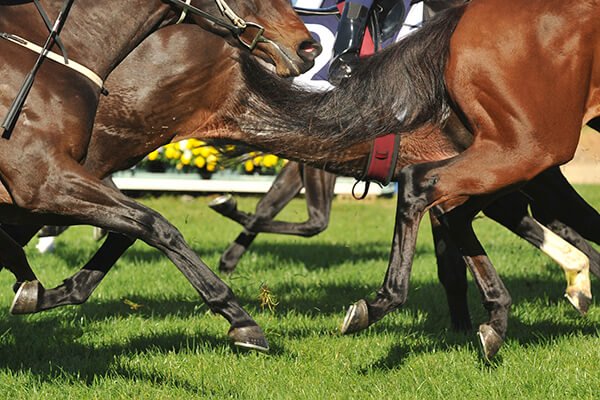 Lantern Club Melbourne Cup Lunch