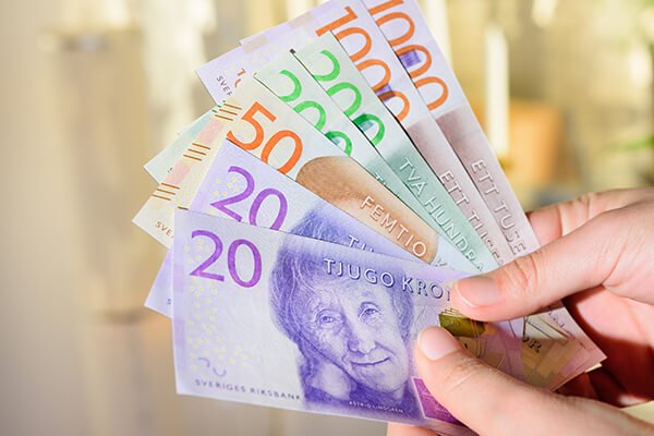 Swedish money notes