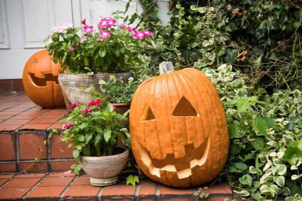 Halloween in Australia - How to Celebrate - Lantern Club