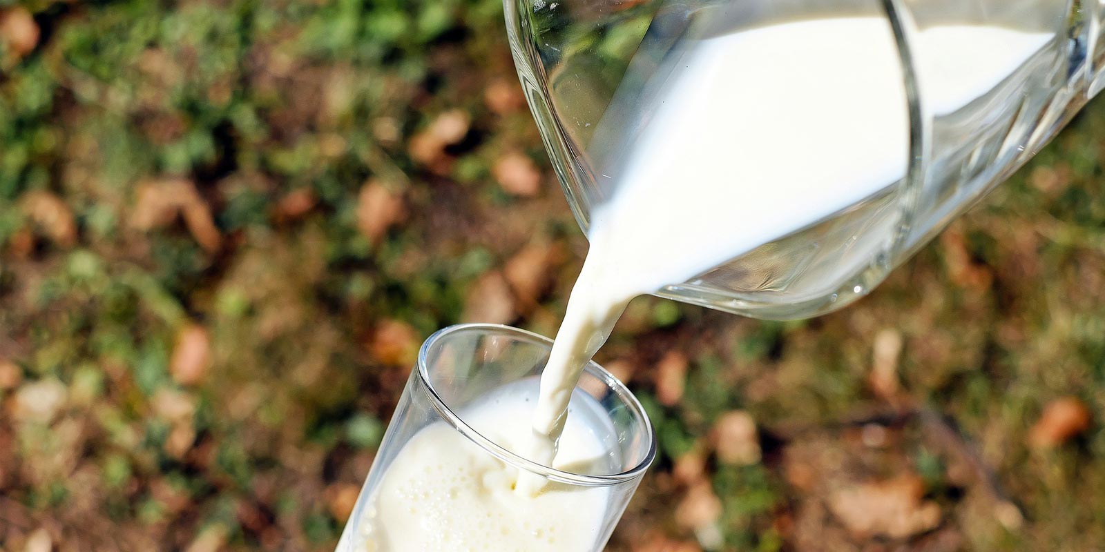 A jug of milk being poured into a glass.