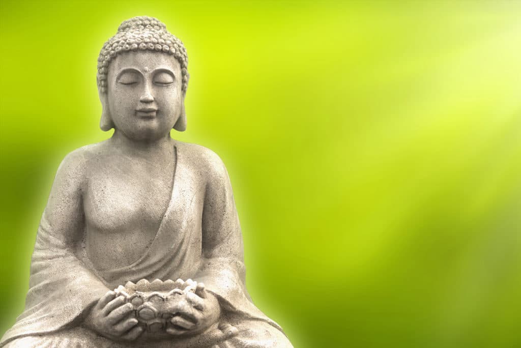 Buddha, vegan, plant based, plant-based